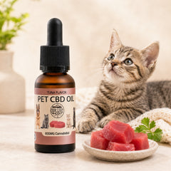 Pet CBD oil bottle with a cat and tuna chunks on a table