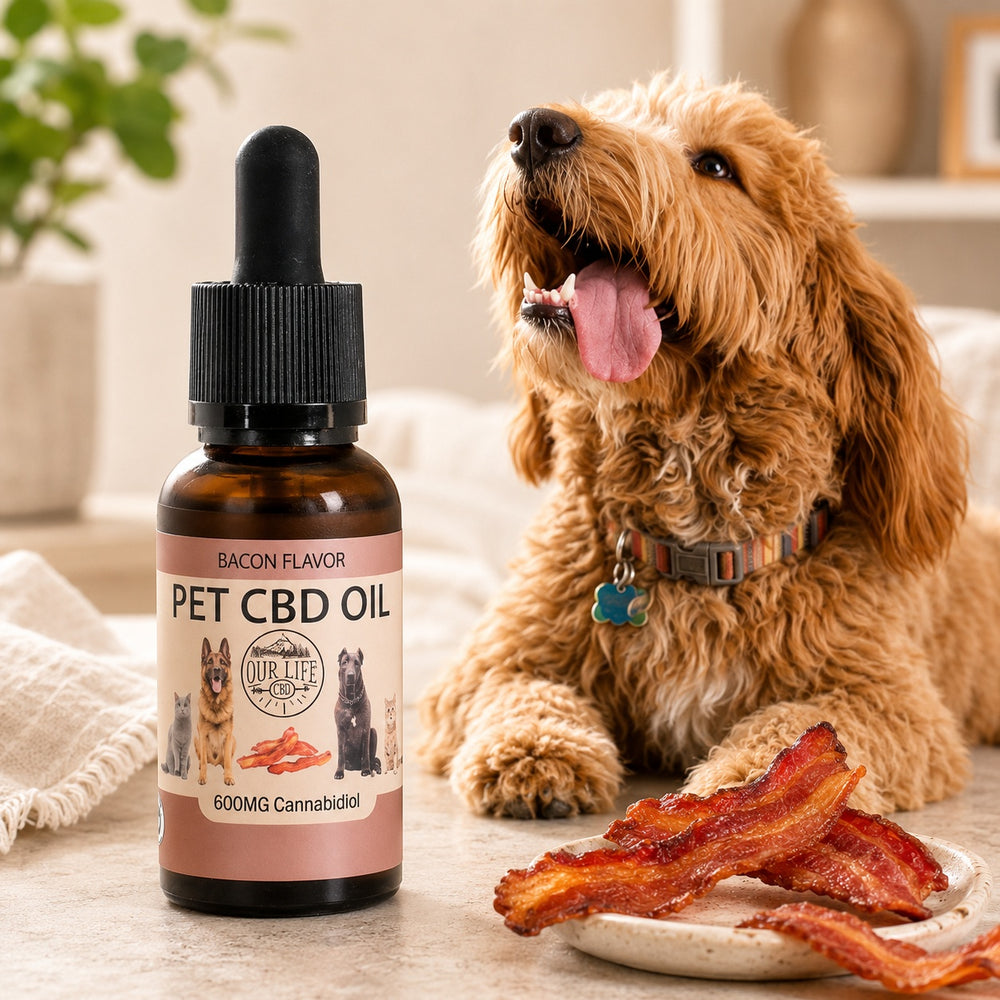 Pet CBD oil bottle with a dog and bacon on a table