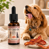Pet CBD oil bottle with a dog and bacon on a table