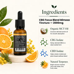 An amber glass dropper bottle labeled 'CBG Focus Blend Mimosa Tincture 2000mg' shown on a white background with ingredient callouts and orange slices, flowers, and leaves. The right side includes text about organic MCT oil, CBG isolate, CBD isolate, and natural terpenes.