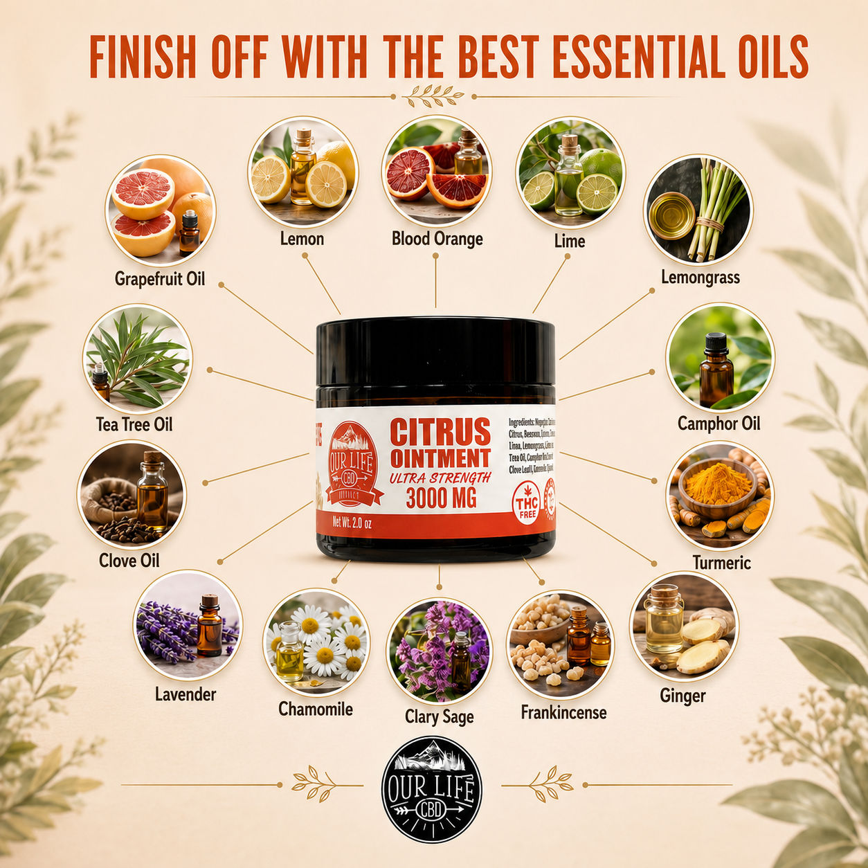 A product infographic for Our Life Apothecary Citrus Ointment 3000 MG, featuring a central jar surrounded by circular images of various essential oils (Grapefruit, Lemon, Blood Orange, Lime, Lemongrass, Tea Tree, Clove, Camphor, Turmeric, Ginger, Lavender, Chamomile, Clary Sage, Frankincense) with labels, under the heading 'FINISH OFF WITH THE BEST ESSENTIAL OILS'.