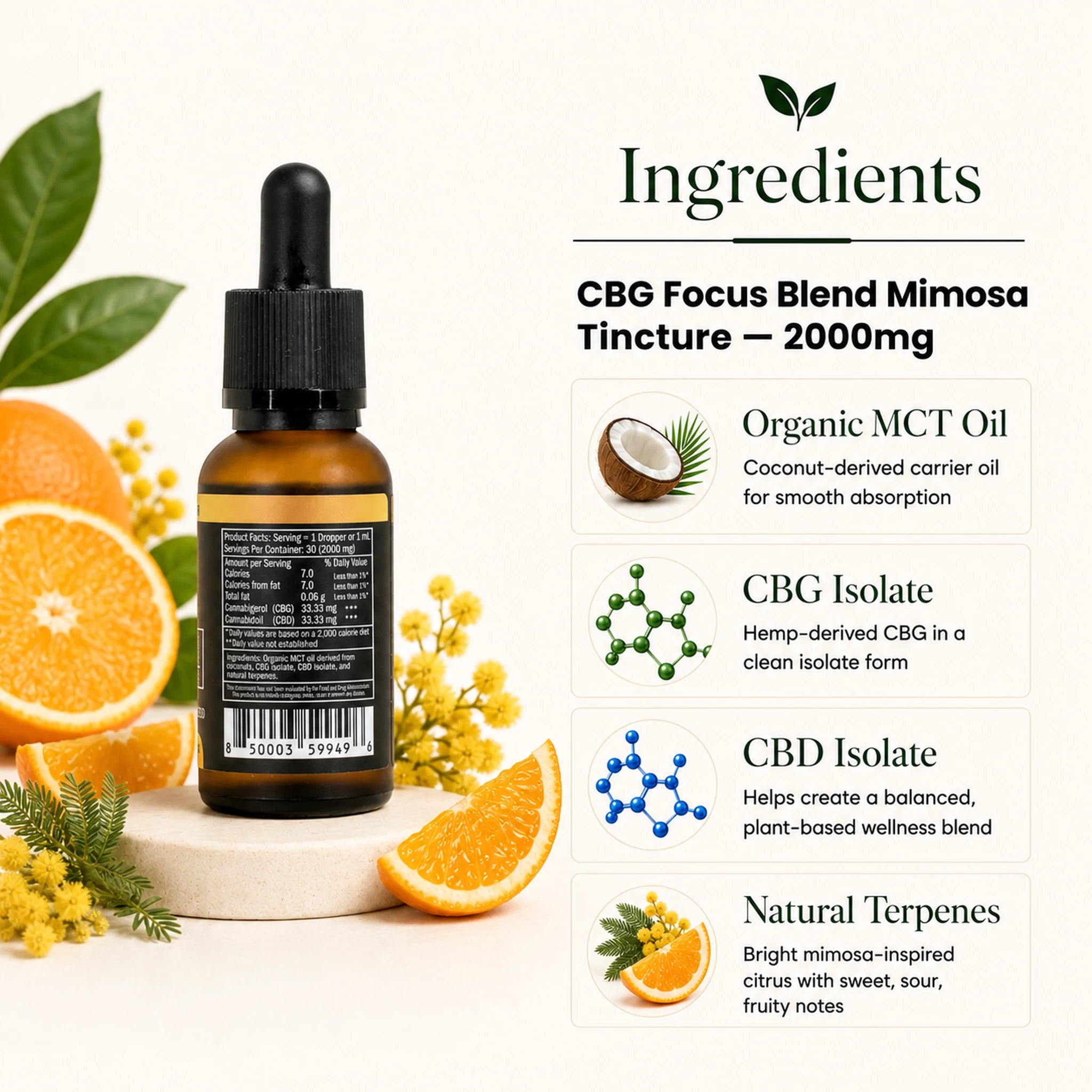 An amber glass dropper bottle labeled 'CBG Focus Blend Mimosa Tincture 2000mg' shown on a white background with ingredient callouts and orange slices, flowers, and leaves. The right side includes text about organic MCT oil, CBG isolate, CBD isolate, and natural terpenes.