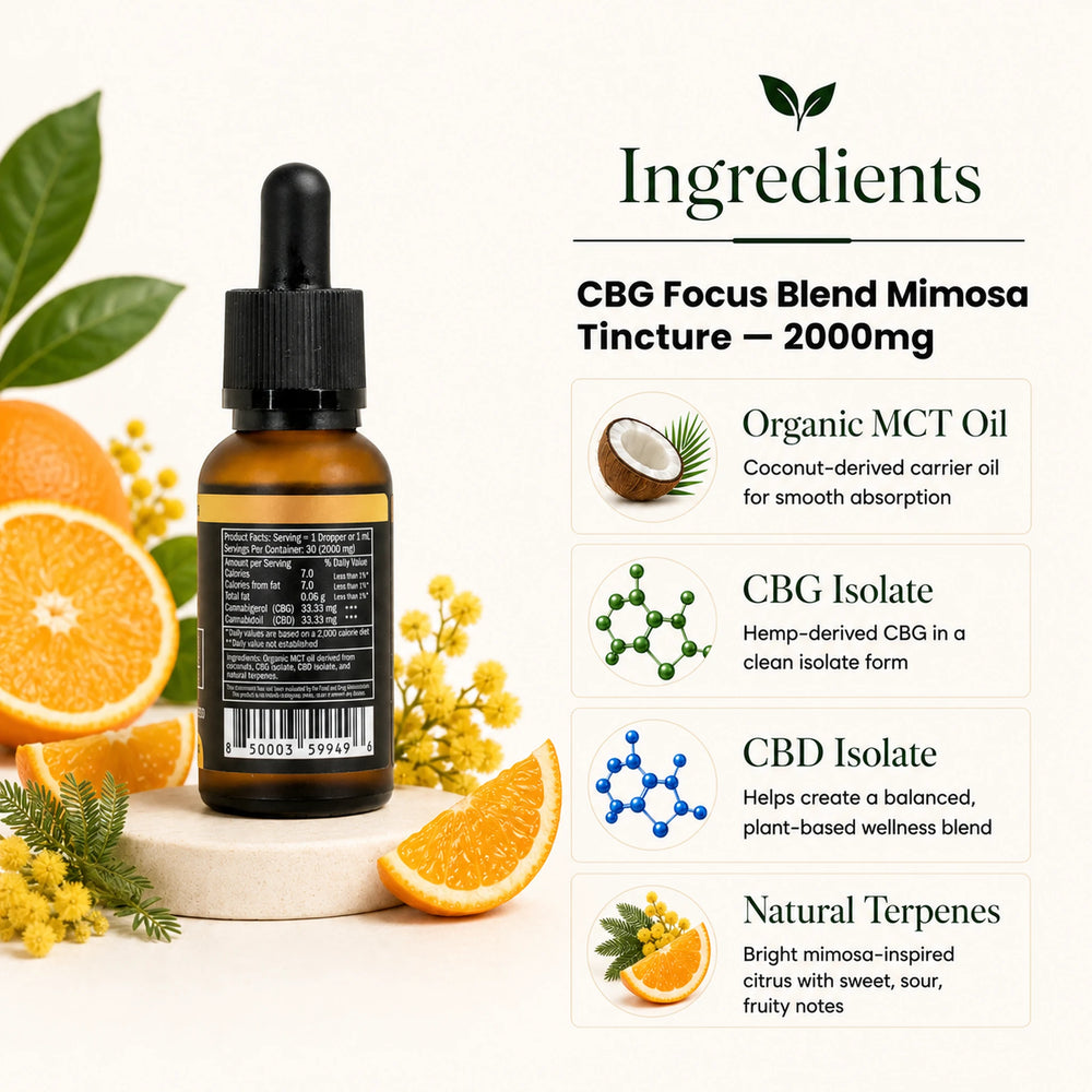 An amber glass dropper bottle labeled 'CBG Focus Blend Mimosa Tincture 2000mg' shown on a white background with ingredient callouts and orange slices, flowers, and leaves. The right side includes text about organic MCT oil, CBG isolate, CBD isolate, and natural terpenes.