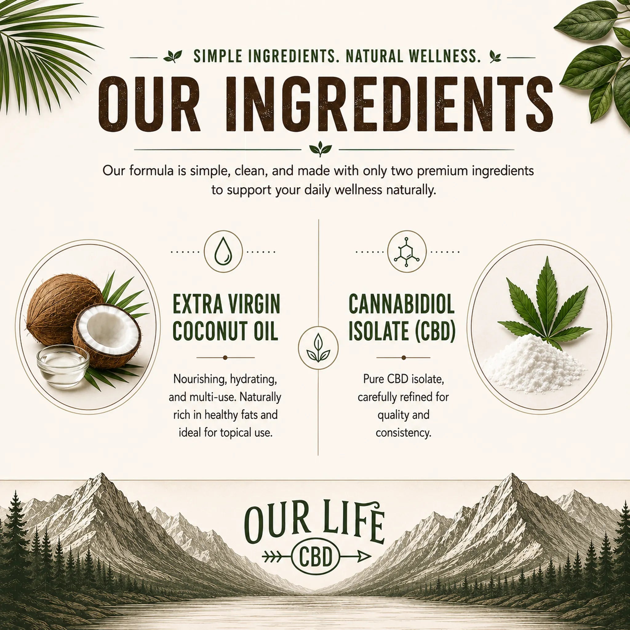 An informational marketing graphic for 'Our Life CBD' detailing their ingredients. The graphic features a cream-colored background with a dark green and brown mountain landscape illustration at the bottom.