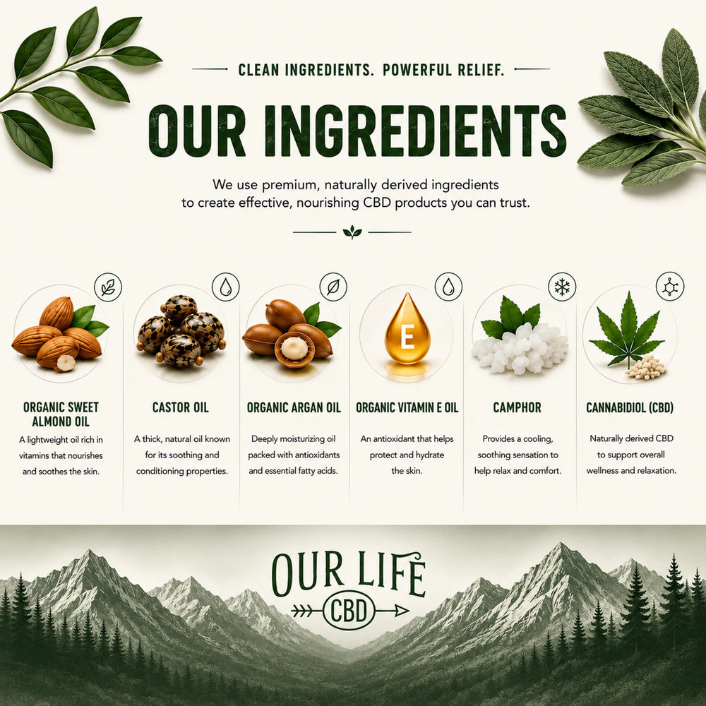 An informational ingredient graphic for Our Life CBD, featuring a cream background with green botanical illustrations, the headline 'OUR INGREDIENTS,' and five labeled product components: organic sweet almond oil, castor oil, organic argan oil, organic vitamin E oil, and cannabis (CBD), with a mountain-and-forest logo at the bottom.