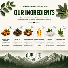 An informational ingredient graphic for Our Life CBD, featuring a cream background with green botanical illustrations, the headline 'OUR INGREDIENTS,' and five labeled product components: organic sweet almond oil, castor oil, organic argan oil, organic vitamin E oil, and cannabis (CBD), with a mountain-and-forest logo at the bottom.