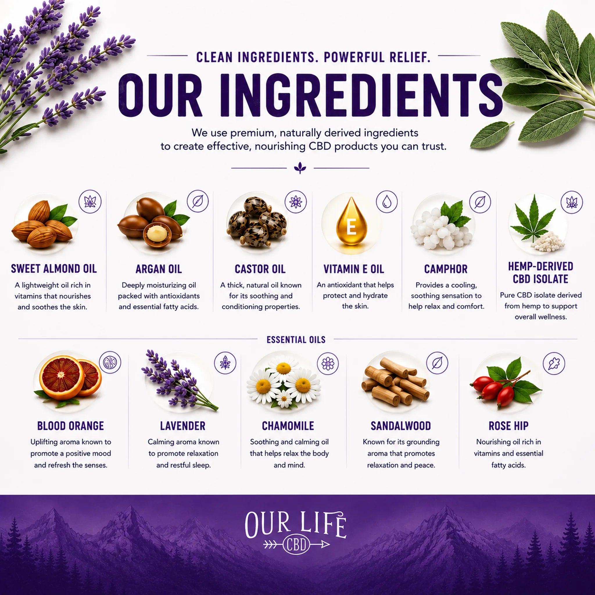 An infographic detailing the ingredients of 'Our Life CBD' products, featuring illustrations and photos of natural components like lavender, almonds, argan oil, castor oil, vitamin E, camphor, hemp, blood orange, chamomile, sandalwood, and rose hip, with text explaining their benefits.