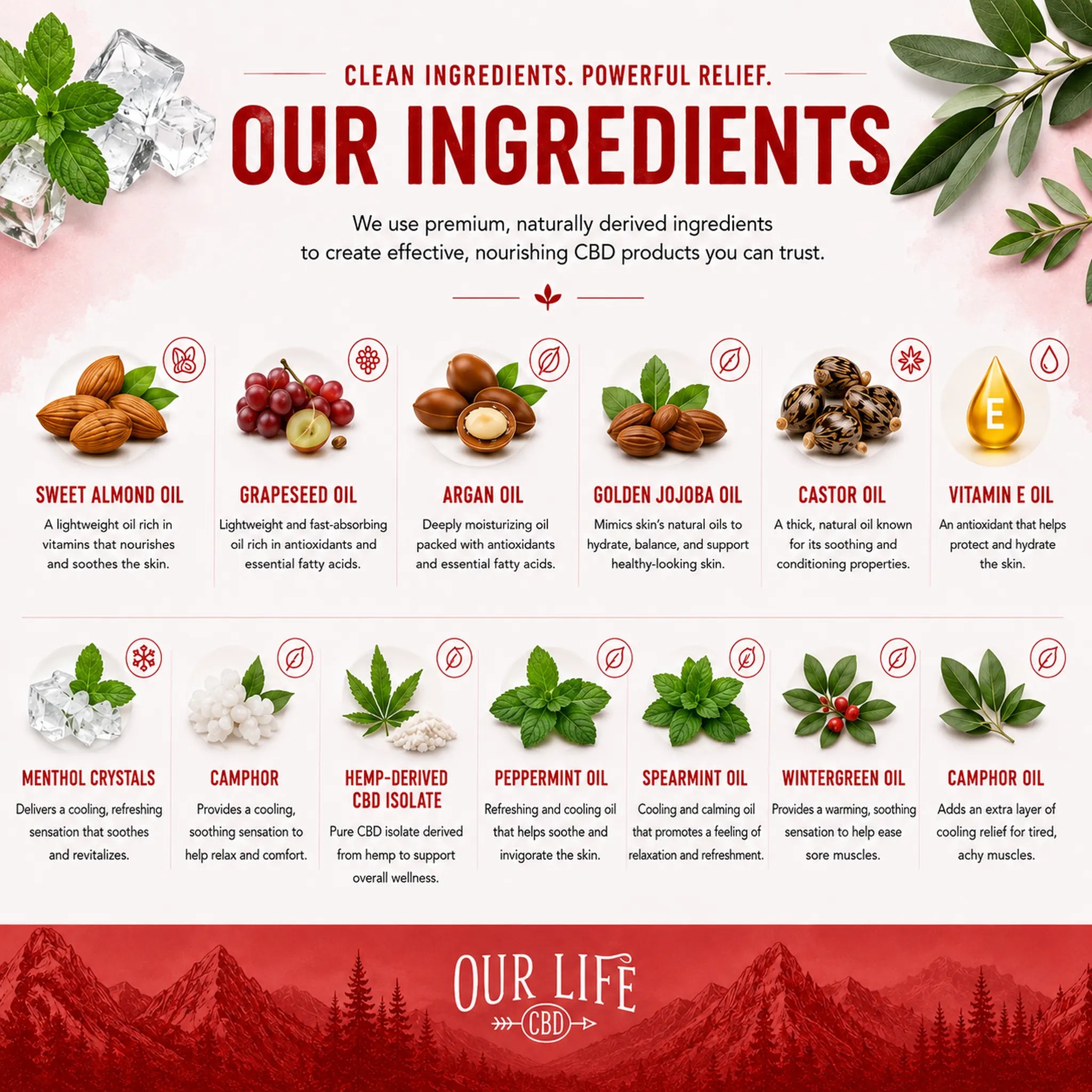 An infographic-style product page for Our Life CBD, showing the brand name at the top and bottom, with illustrated botanical elements and a grid of oil and ingredient names including sweet almond oil, grapeseed oil, argan oil, golden joliba oil, castor oil, vitamin E oil, menthyl crystals, camphor, hemp-served CBD isolate, peppermint oil, spearmint oil, wintergreen oil, and more.