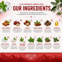 An infographic-style product page for Our Life CBD, showing the brand name at the top and bottom, with illustrated botanical elements and a grid of oil and ingredient names including sweet almond oil, grapeseed oil, argan oil, golden joliba oil, castor oil, vitamin E oil, menthyl crystals, camphor, hemp-served CBD isolate, peppermint oil, spearmint oil, wintergreen oil, and more.